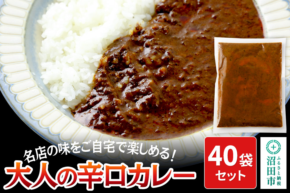 みのや 大人の辛口カレー 40袋セット