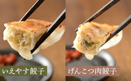 浜松餃子 いえやす餃子 2種 40個 お試し餃子 8個 セット 詰め合わせ 肉餃子 ぎょうざ 餃子 ギョーザ 冷凍餃子 冷凍ぎょうざ 冷凍 冷凍食品 中華 惣菜 食品 おかず 食べ比べ 静岡 静岡県 