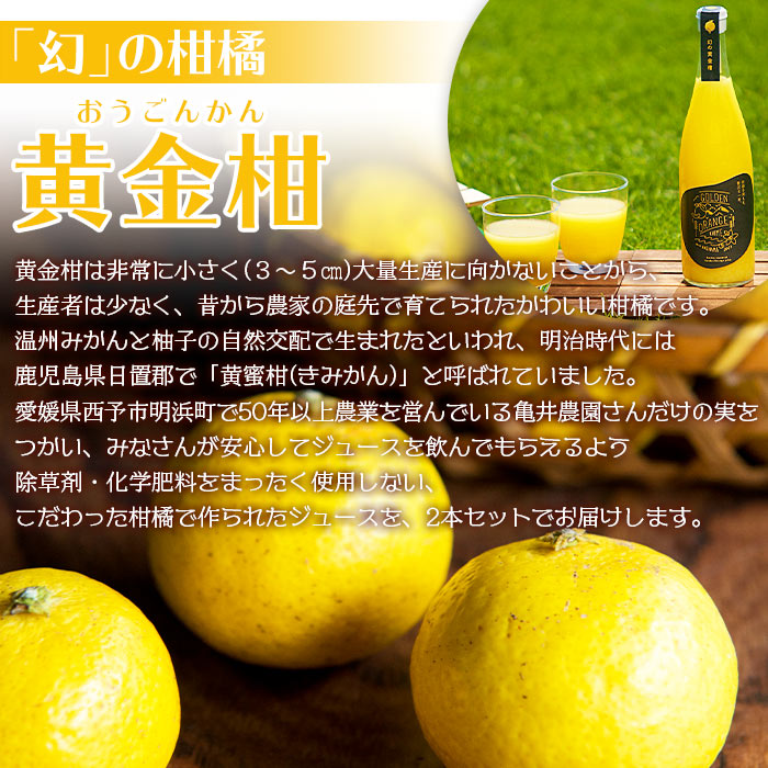 ＜黄金柑ジュース 720ｍ×2本セット＞ 果汁100％ ストレート ジュース 柑橘 ミカン みかん オレンジ 果物 フルーツ ギフト 贈り物 特産品 愛媛県 西予市
