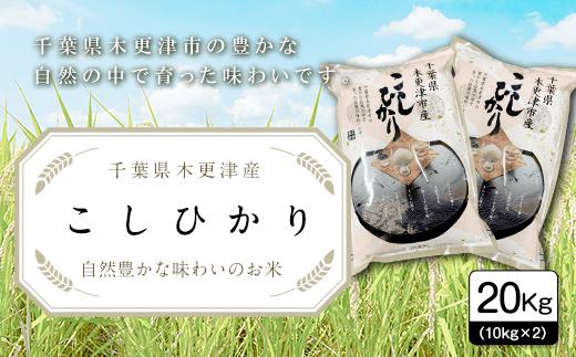 【令和6年産新米】千葉県木更津産こしひかり20kg（10kg×2） KW003 ふるさと納税 米 20kg コシヒカリ 精米 白米 ごはん おにぎり お茶漬け 主食 炭水化物 千葉県 木更津市 送料無料