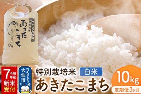 【定期便3ヶ月】《令和7年産 新米受付》米 特別栽培米 あきたこまち【精白米】10kg（10kg×1袋）ローズメイ 秋田県 大仙市産
