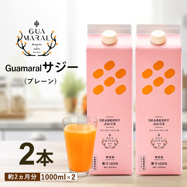 
サジージュース 100% 1000ml×2本セット | サジー シーベリー 沙棘 グアマラル 健康ドリンク 健康 美容 栄養 果汁 鉄分補給 栄養補給 健康食品 ギフト 贈答 プレゼント ご褒美 お祝 記念品 _DX04
