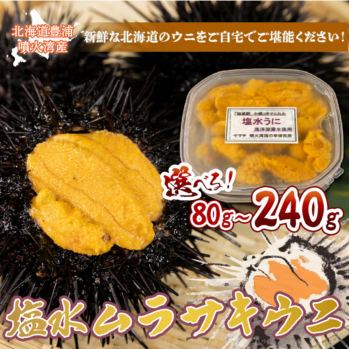 【ふるさと納税】【令和8年度発送先行予約】うに 塩水 ムラサキウニ 選べる数量 80g ～ 240g 北海道 豊浦 噴火湾 雲丹【配送不可地域：離島】【 ふるさと納税 人気 おすすめ 魚介類 うに ウニ 雲丹 むらさきうに ムラサキウニ おいしい 新鮮 北海道 豊浦町 送料無料 】
