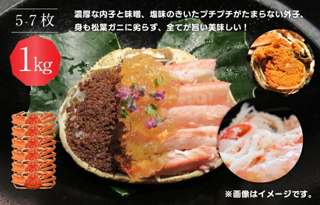 ＜10/1～寄附額改定＞【ボイル】鳥取県産 セコガニ 訳あり良品 1ｋg（5～7枚）※2025/11/6～2025/12/25に順次発送予定※着日指定不可  離島不可（北海道、沖縄本島は配送可能）