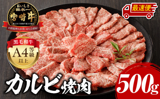 【最速便】宮崎牛 カルビ焼肉 500g_M243-004-2W