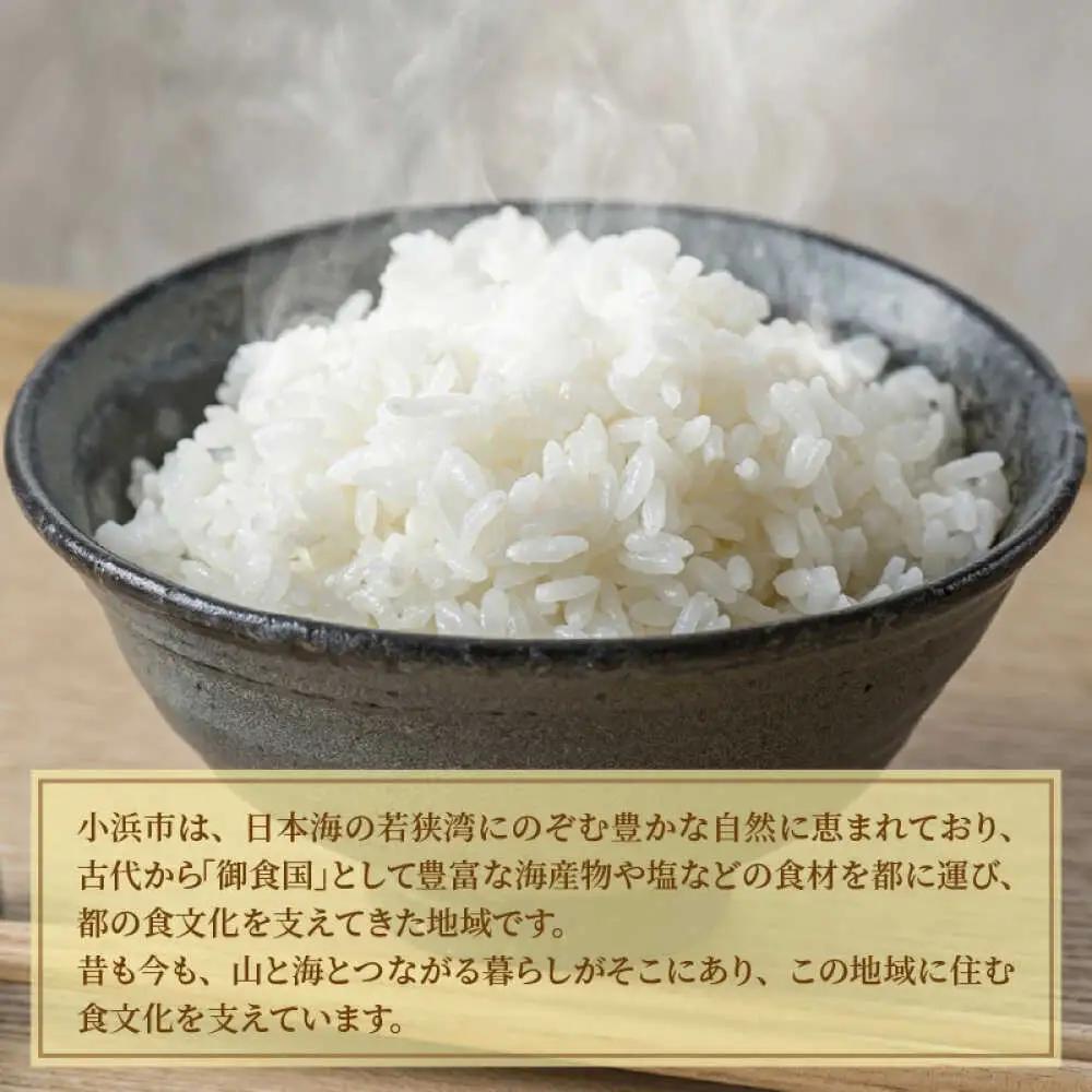 【 先行予約 /10月以降配送】【令和7年産】福井県産コシヒカリ「千石」 10kg 小浜市 / 千石の郷  [BFCA001]