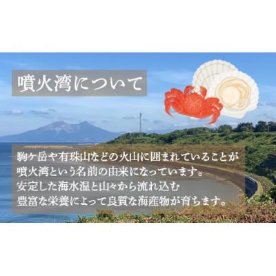 ふるさと納税 豊浦町 地元漁師 厳選 噴火湾産 旬のお刺身セット 4〜5種 |  | 01