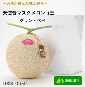 マスクメロン 浜松 天使音 あまね グラン・べべ 1玉 メロン フルーツ 果物 青肉 デザート 青肉メロン 高級 高級品 ギフト プレゼント 贈答 贈答用 贈答品 贈り物 特産品 名産品 ご当地 ご当地グルメ めろん 静岡県産 静岡産 静岡県浜松市