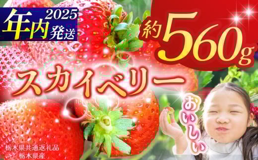 【栃木県共通返礼品】【2025年先行予約】スカイベリー 280g×2P| 年内発送 果物 くだもの フルーツ 野菜 やさい ヤサイ 苺 イチゴ いちご スカイベリー 新鮮 甘い 数量 限定 美味しい 果物 共通返礼品 フルーツ デザート 栃木県 那珂川町 送料無料