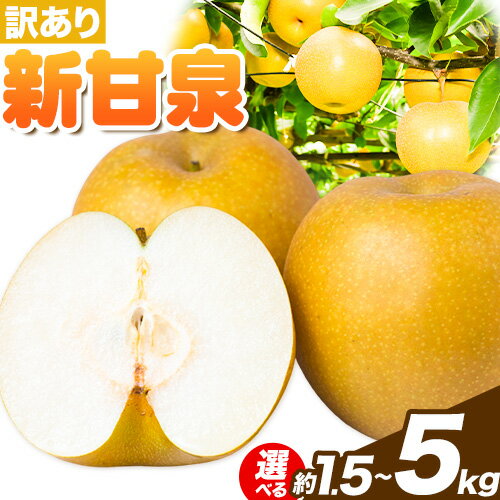 【ふるさと納税】【2025年先行予約】訳あり 新甘泉 選べる内容量 約1.5kg (2-5玉) 約3kg (4-10玉) 約5kg (8-16玉) 2L-6Lサイズ《2025年8月下旬-10月上旬頃出荷》新甘泉 梨 訳あり ご家庭用 鳥取県 八頭町 なし 果物 フルーツ 特産品 送料無料 果汁 デザート 八頭