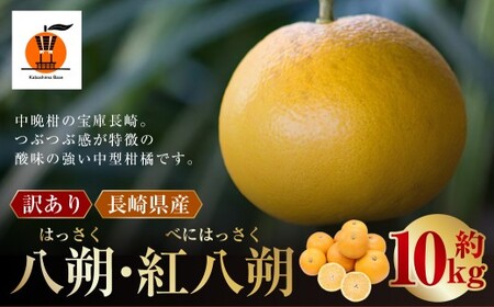 【訳あり】 長崎県産 八朔 ・ 紅八朔 約10kg 【2026年2月上旬～3月上旬迄発送予定】 ／ はっさく 紅はっさく 柑橘 柑橘類 みかん フルーツ 果物 くだもの 国産フルーツ 規格外品 訳アリ 訳あり 国産 長崎県 長崎市 常温