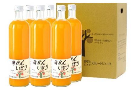 【定期便】伊藤農園 みかんジュース大瓶6本セット(3ヶ月お届け)(B654-1)