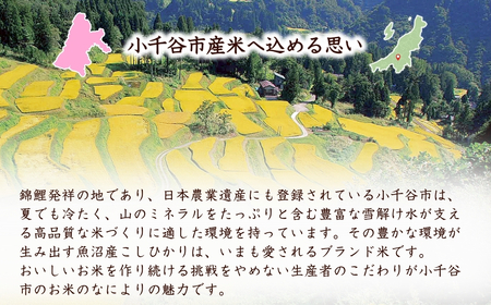 令和7年産 雪中貯蔵 魚沼産コシヒカリ 2kg(1kg×2袋) アグリたかの