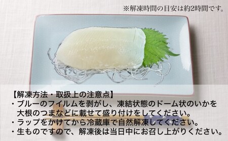 【道水】お刺身するめいか 業務用パック550g（55g×10枚入）いか耳塩辛110g付き 北海道直送 【 ふるさと納税 人気 おすすめ ランキング いか お造り お刺身 鮮度抜群 冷凍 いかそうめん 