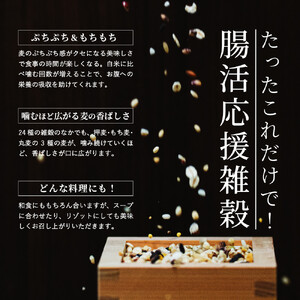 雑穀米本舗 国産 麦の恵み24穀米ブレンド 4kg(800g×5袋)