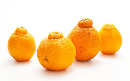 環境マイスターの不知火 訳あり 4kg（栽培期間中は無肥料・低農薬） くだもの 果物 フルーツ 不知火 しらぬい みかん 柑橘 【2026年2月上旬～5月上旬迄順次発送予定】