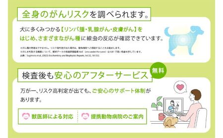 【ふるなび限定】愛犬のがんのリスク早期発見サービス　線虫N-NOSE わんちゃん【FN　limited】