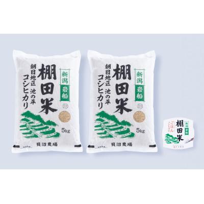 ふるさと納税 村上市 【毎月定期便】新潟県岩船産【棚田米】コシヒカリ玄米10kg+ パックごはん(150g×1個)　全4回 | 