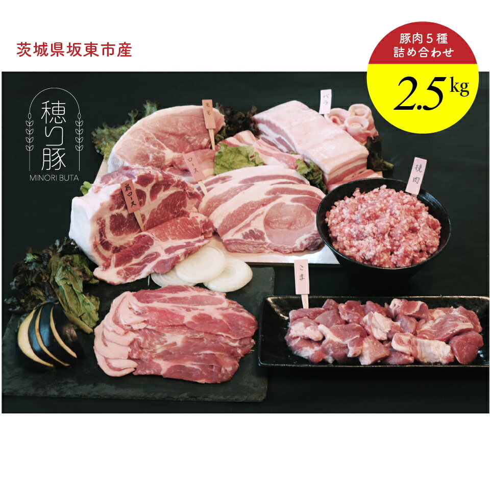 【ふるさと納税】坂東市産の豚肉バラエティセット　約2.5kg ／ 背ロース バラ もも 小間切れ ひき肉 セット うま味 送料無料 茨城県 No.840