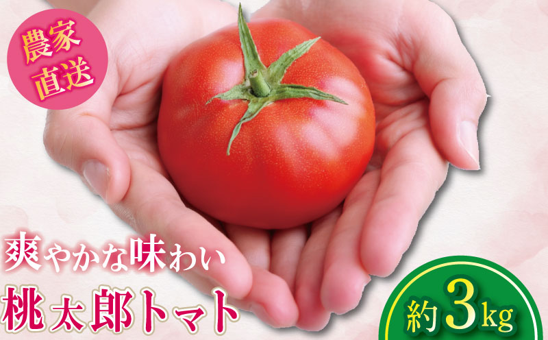 【2026年2月発送】 トマト 3kg 桃太郎 先行予約  甘い 野菜 やさい 国産 産地直送 数量限定 旬 桃太郎トマト 生野菜 新鮮 ソース 調味料 ケチャップ サラダ 美容 新鮮 健康 お取り寄せ グルメ おすすめ 人気 徳島県 小松島市