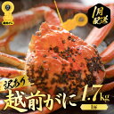 【ふるさと納税】【訳あり】≪浜茹で≫越前がに 極み（きわみ）サイズ（生で約1.7kg～）規格外でも贅沢！食べ応え十分 食べ方しおり付き【 贈答 ギフト 雄 ズワイガニ 冷蔵 かに カニ 蟹 福井県】【1月発送分】希望日指定可 備考欄に希望日をご記入ください [e57-x010_01]