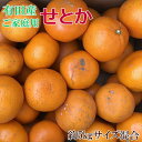 【ふるさと納税】(訳あり・ご家庭用)一度は食べていただきたい「有田産のせとか」約5kg★2025年2月中旬頃より順次発送 | フルーツ 果物 くだもの 食品 人気 おすすめ 送料無料