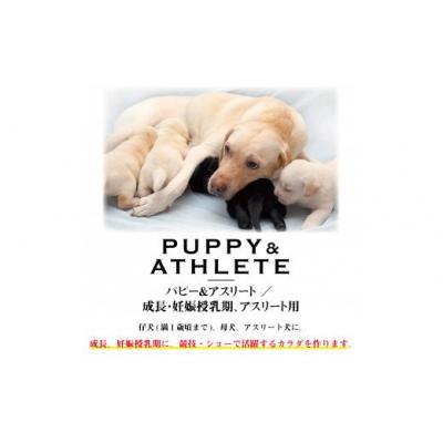 ふるさと納税 米子市 ワンフー wanfoo ウサギ肉使用ドッグフード  成長・妊娠授乳期、アスリート用　3kg |  | 02