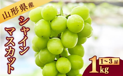 
            《山形県産》 新鮮 シャインマスカット 1kg（1房 - 3房） 【2025年9月中旬～10月頃発送予定】  013-B-JA008
          