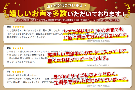強炭酸水 【6か月定期便】VOX ストレート バナジウム 500ml 35本 炭酸