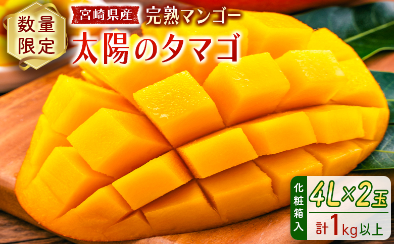 数量限定 宮崎県産 完熟マンゴー＜太陽のタマゴ＞4L×2玉 計1kg以上 ※2026年4月下旬配送開始 化粧箱入 フルーツ くだもの【E169-26】