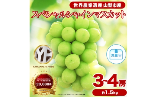 2026年発送 フルーツ王国山梨産厳選 シャインマスカット 3～4房(約1.5kg)【1501767】