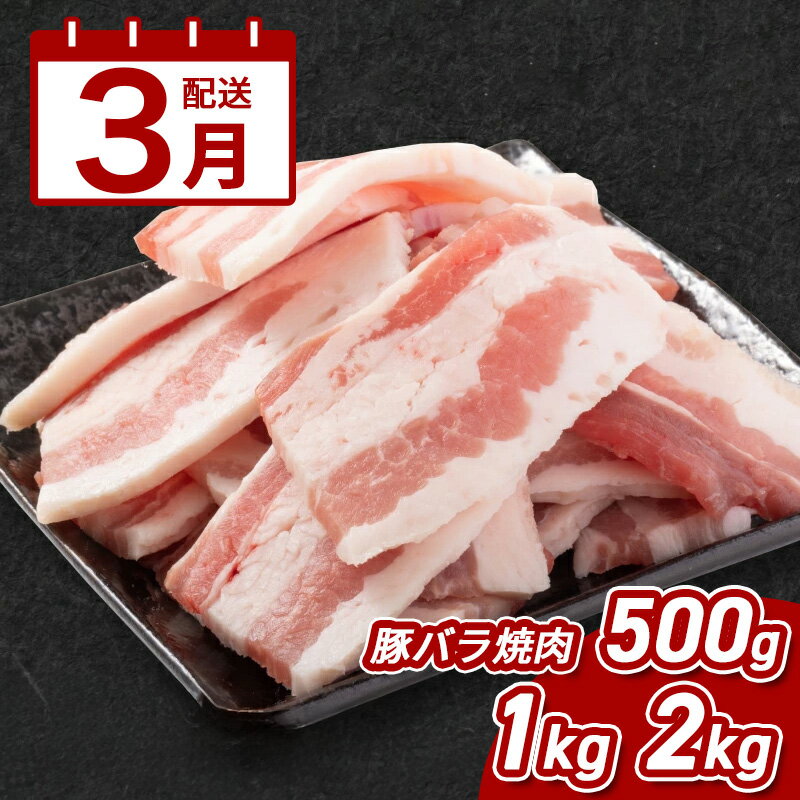【ふるさと納税】3月配送★宮崎県産豚バラ焼肉 - お試し500g/1kg/2kg 豚肉 焼き肉用 豚バラ肉 脂身が美味しい 豚ばら 1パック500g 味付けしやすいトレー冷凍 バーベキュー・アウトドアにそのまま持っていける 焼肉用 送料無料 【宮崎県木城町】