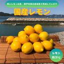 【ふるさと納税】青いレモンの島　レモン約3kg【1092711】