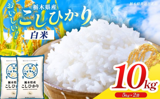 【栃木県共通返礼品】令和7年度産 コシヒカリ 10kg お米 kome 米 ご飯 | 栃木県共通返礼品 お米 精米 白米 玄米 大粒 小粒 無洗米ご飯 飯 こめ コメ 那珂川町 送料無料