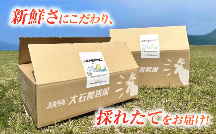 【お得な箱入り】五島の恵みたまご Lサイズ 150個入 / 卵 赤玉子 五島市 / 五島列島大石養鶏場 [PFQ007]