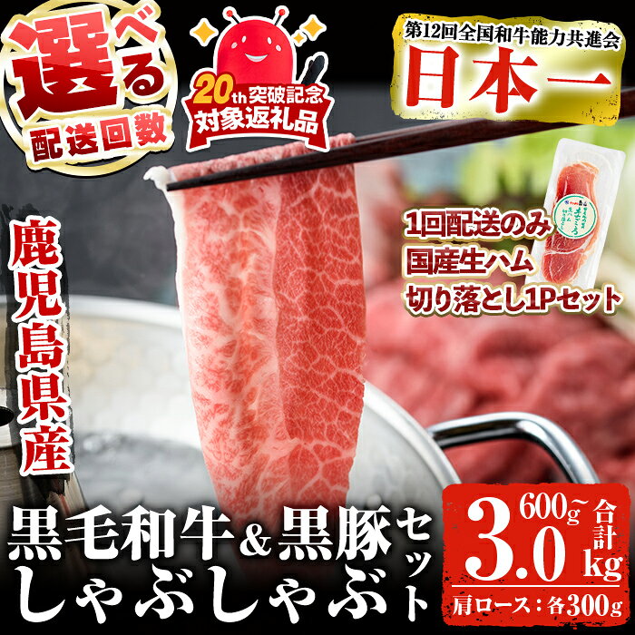 【ふるさと納税】＜選べる配送回数＞鹿児島黒毛和牛 鹿児島黒豚しゃぶしゃぶセット(合計600g・1回 or 5回) 黒毛和牛 和牛 黒豚 国産 豚肉 牛肉 肉 しゃぶしゃぶ 鍋 肩ロース たれ付き 冷凍 セット【ナンチク】