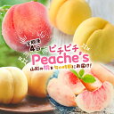 【ふるさと納税】【定期便4回】ピチピチPeache's 【令和7年産先行予約】FS24-742