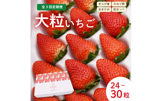 【2025年3月～5月発送】 【3ヶ月定期便】 いちご 大粒 24～30粒 紅ほっぺ 章姫 あきひめ きらぴ香 かおりの ジャパン ベリー 静岡県 藤枝市