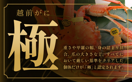 ≪浜茹で≫越前がに 極（生で1.5kg以上） × 1杯【雄 ズワイガニ 越前ガニ 姿 ボイル 冷蔵 かに カニ 蟹 福井県】【3月発送分】希望日指定可 備考欄にメールアドレスをご記入ください [e43