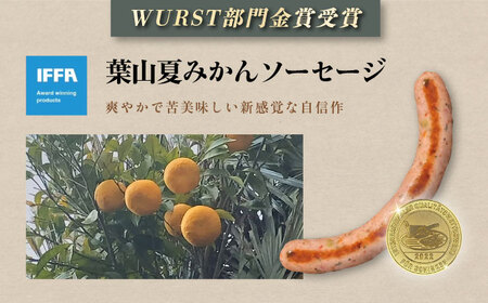 夏みかんソーセージ 3pc 【有限会社横須賀松坂屋】[AKCY010]