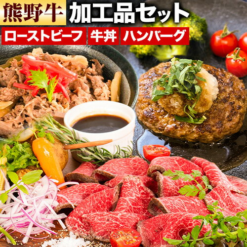 【ふるさと納税】牛肉 熊野牛 加工品 バラエティ セット ミニ ローストビーフ 生ハンバーグ 牛丼の具 約 970g 株式会社Meat Factory《30日以内に出荷予定(土日祝除く)》和歌山県 日高川町 熊野牛 牛 和牛 惣菜 ハンバーグ 牛丼