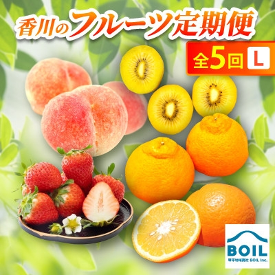 
                  ＜発送月固定定期便＞香川のフルーツ(5L)全5回【4083565】
                