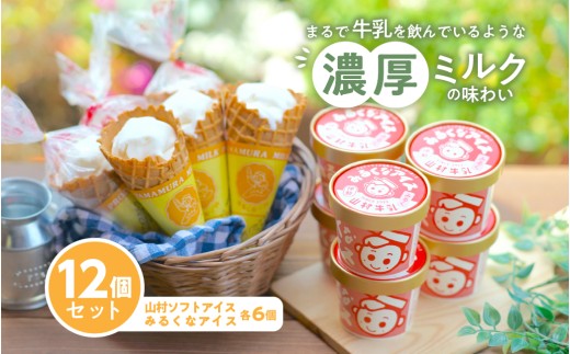 山村ミルクアイスセット アイスクリーム カップアイス コーンアイス ミルク 牛乳 伊勢 山村乳業 三重 伊勢（023）