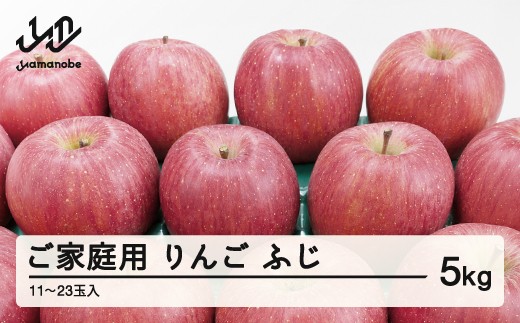 《先行予約》2026年 山形県産 令和8年 ご家庭用 ふじりんご 5kg  ※沖縄・離島への配送不可 ts-rifkx5