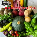 【ふるさと納税】【冷蔵便】季節のこだわり野菜セット 野菜詰め合わせ（春野菜 夏野菜 ハーブ など）【 神奈川県 大磯町 農薬不使用 ブロッコリー カリフラワー なす トマト スイカ ハーブ ミント 季節野菜セット 新鮮野菜 地元野菜詰め合わせ ギフトセット】