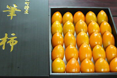 幸田町特産「筆柿」3kg 化粧箱入り ※2026年9月下旬から10月下旬頃に順次発送予定※ 柿 かき フルーツ 果物 ギフト