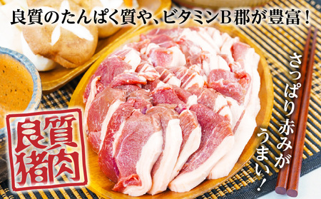 天然猪肉 スライス 700g 宮崎県高千穂町産 ジビエ