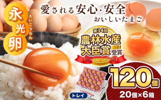 ＼ 2週間以内 に発送 ／ メディア紹介多数！ 永光卵 【 120個 】 卵 たまご トレイ | スピード発送 送料無料 えいこうらん 光永ファーム みつなが おいしい卵 卵かけごはん プリン ゆうパック 君津市 きみつ 千葉県 すぐ届く
