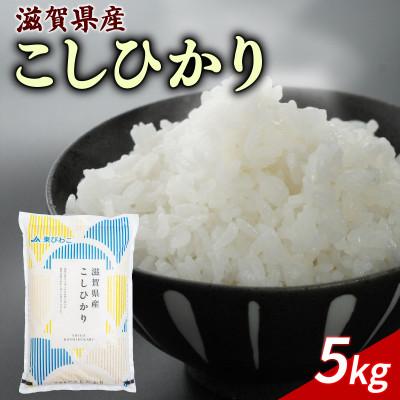 ふるさと納税 彦根市 令和7年産 こしひかり 5kg 【滋賀でとれたお米、近江米!】