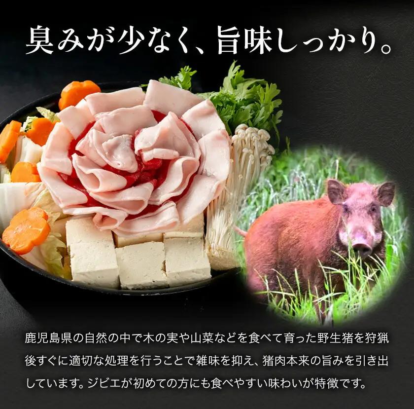 猪肉 スライス 3種セット ロース バラ モモ 計約600g ダブルビーゼット株式会社《30日以内に出荷予定(土日祝除く)》